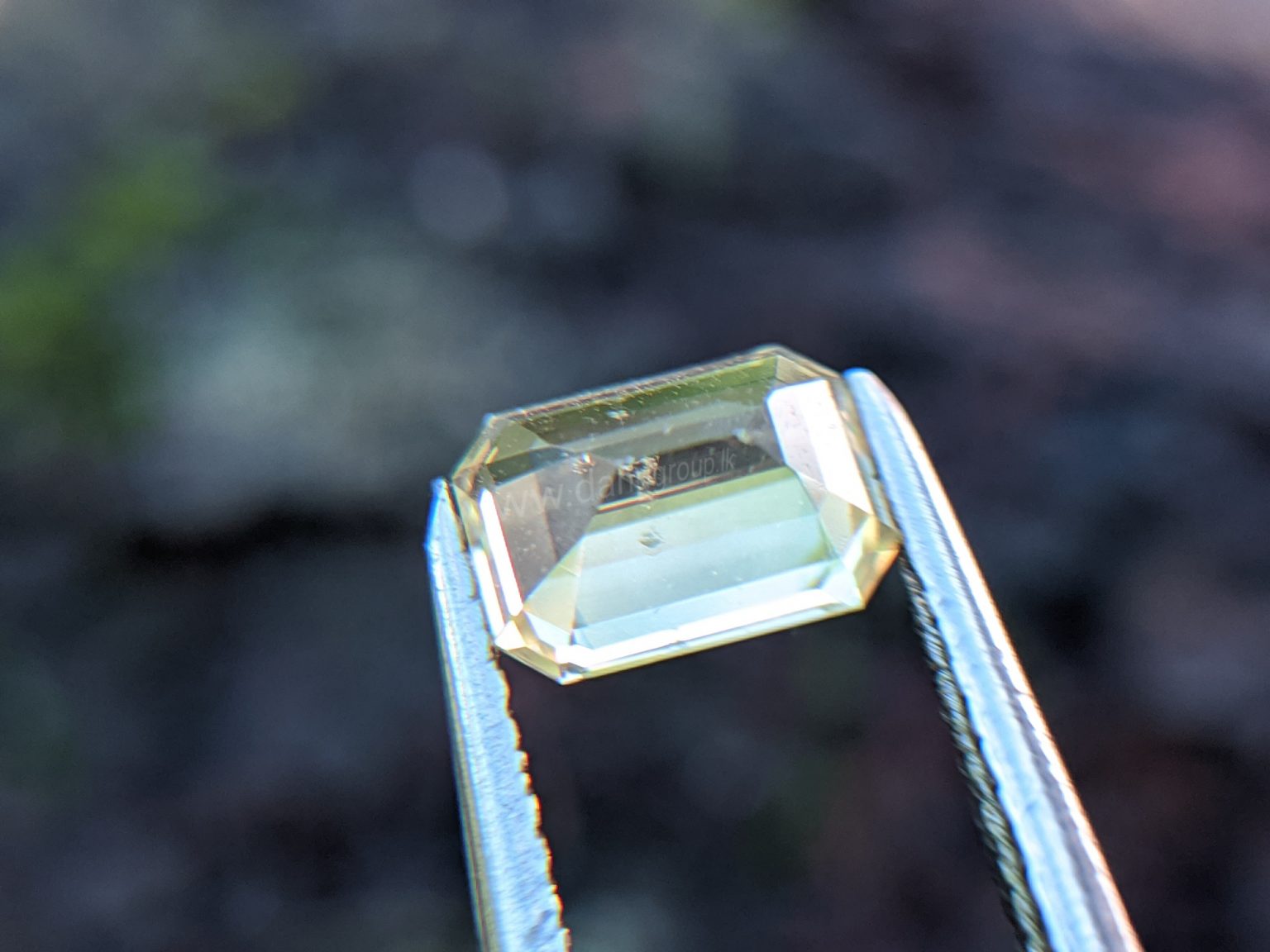 Ceylon Natural Yellow Sapphire from Danu Group Gemstones Collection