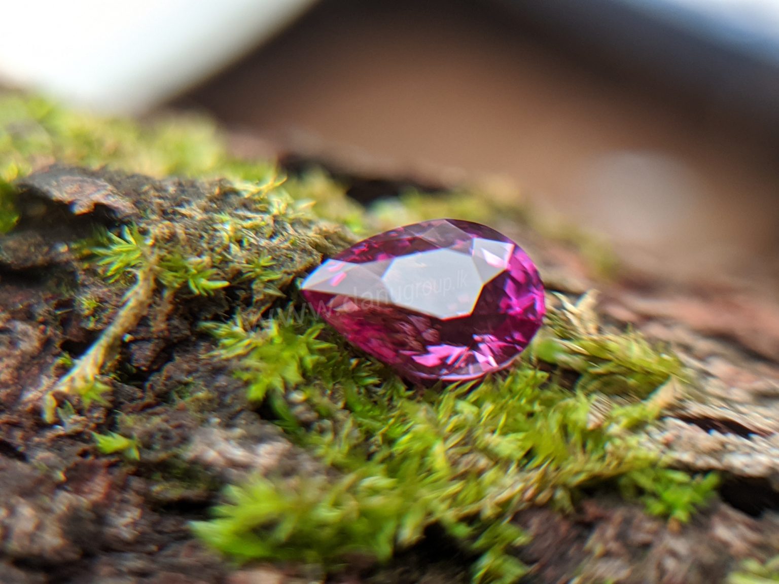 Ceylon Natural Pear Shape Pink Sapphire Gemstone from Danu Group Gemstones Mining