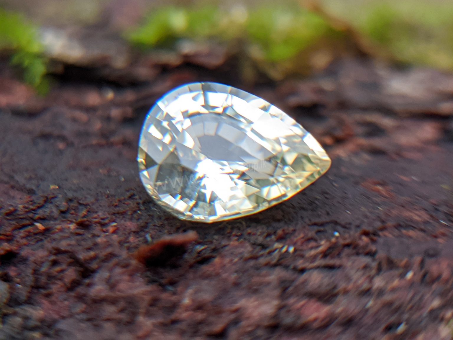 Ceylon Natural Yellow Sapphire from Danu Group Gemstones Collection Gem City