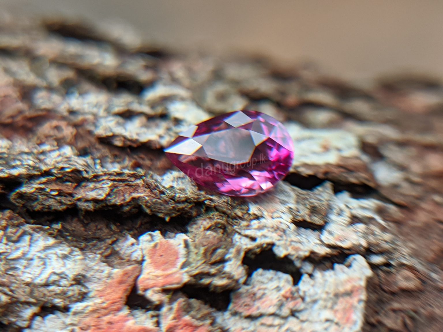 Ceylon Natural Pear Shape Pink Sapphire Gemstone from Danu Group Gemstones Mining