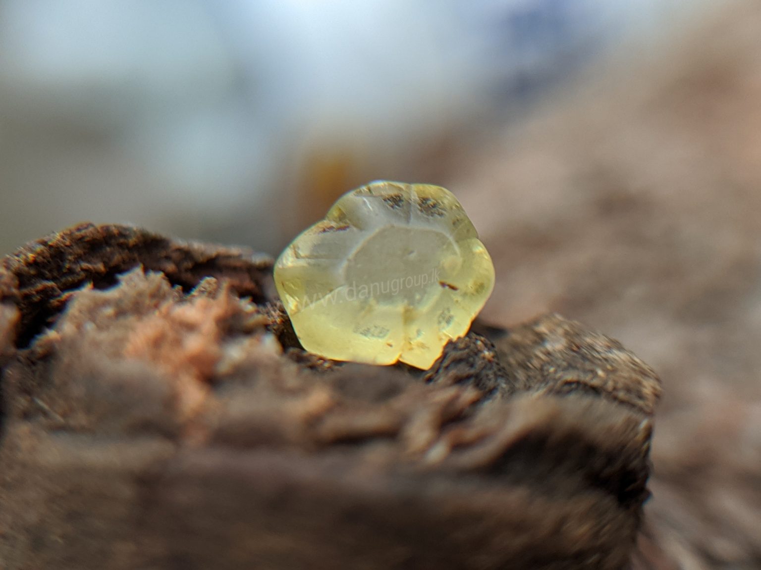 Ceylon Natural chrysoberyl Rare Crystal from Danu Group Gemstones Mining