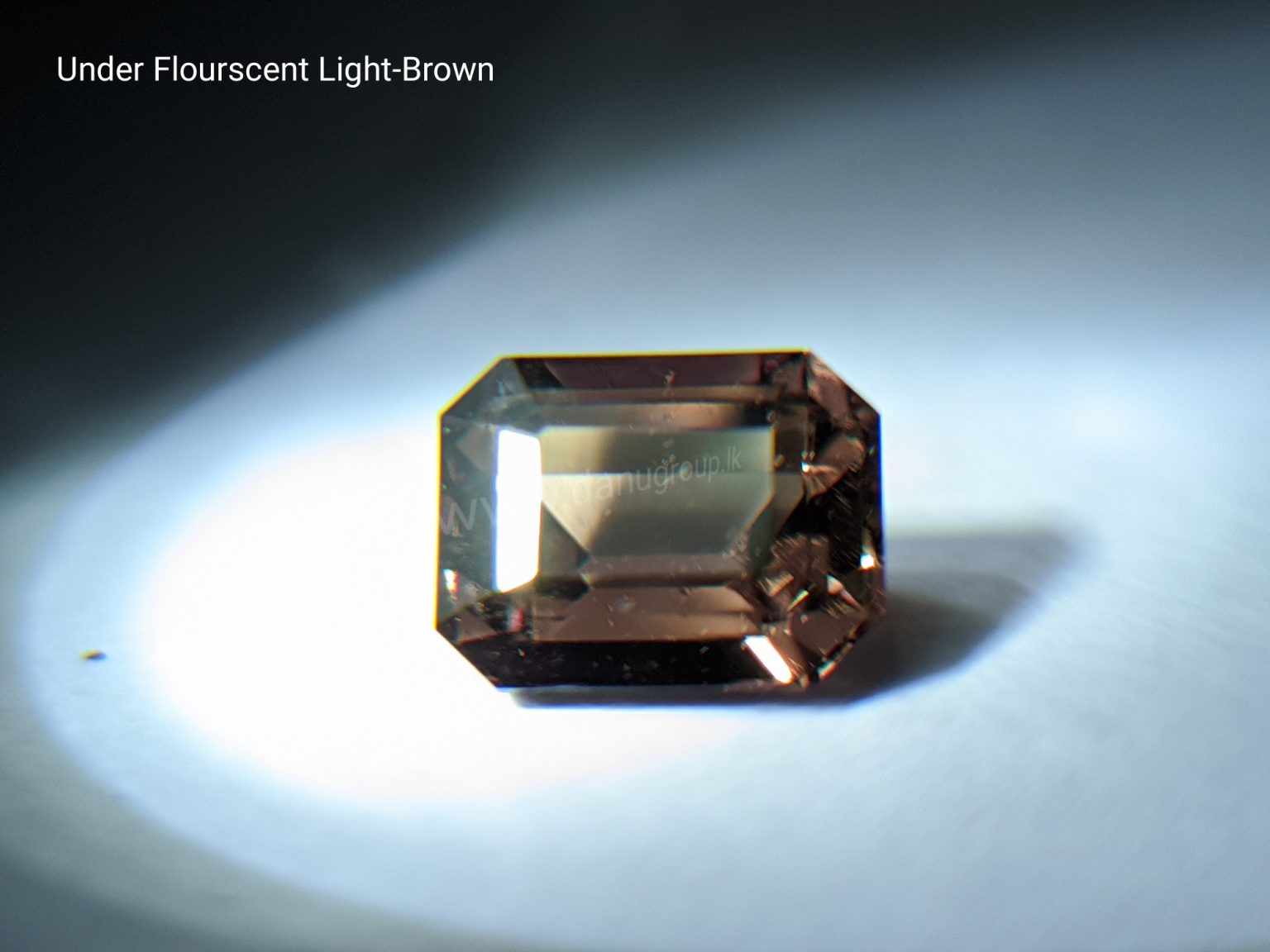 Natural Colour change Sapphire - Chocolate Brown to Red Danu Group Gemstones