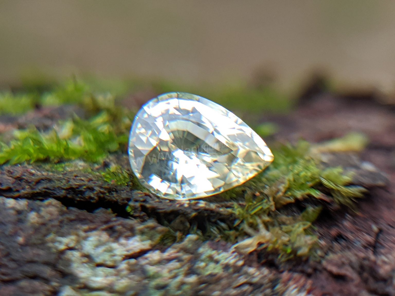 Ceylon Natural Yellow Sapphire from Danu Group Gemstones Collection Gem City