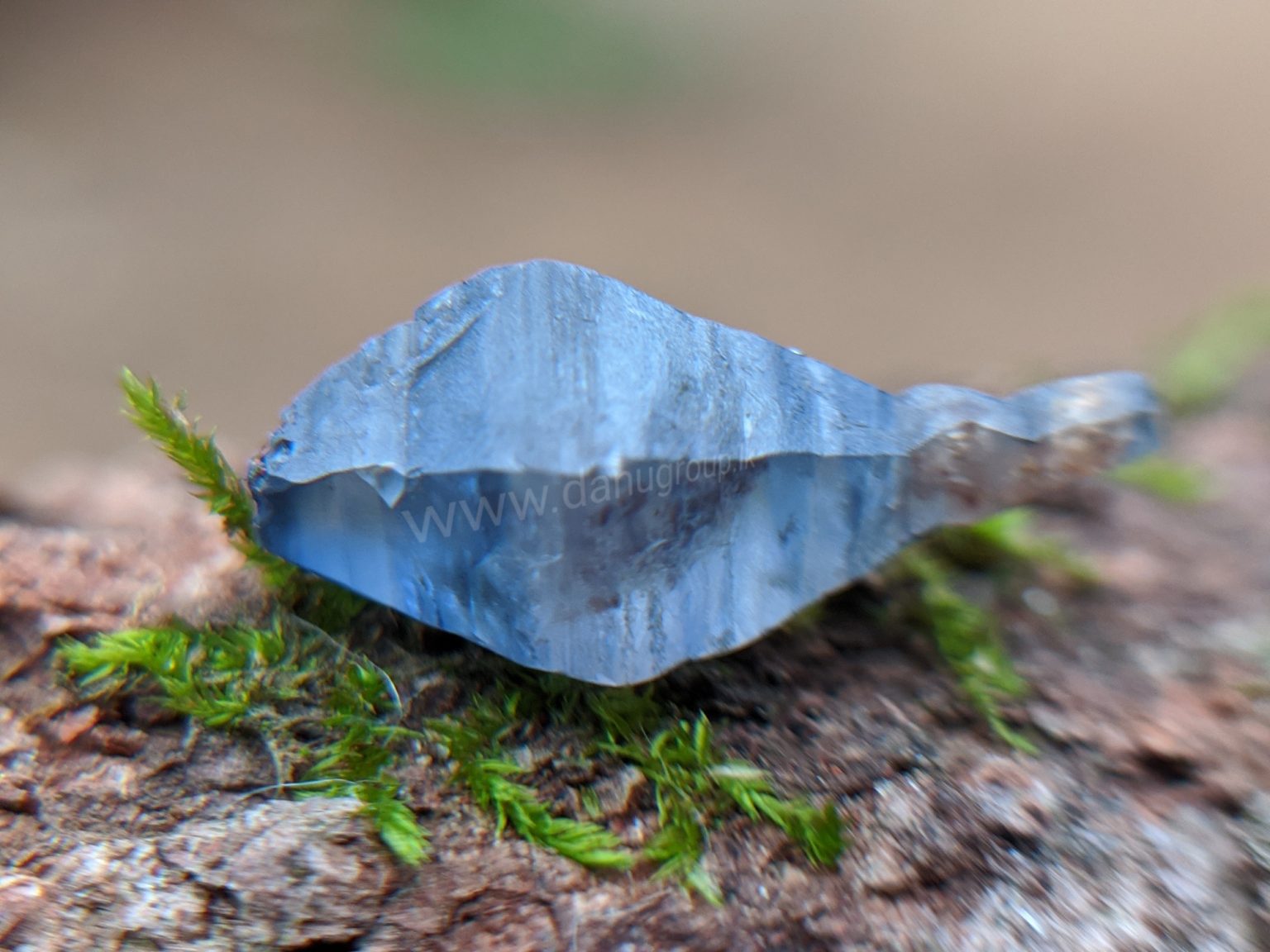 Ceylon Natural Blue Sapphire Fish Shape Crystal from Danu Group Minings in Primary deposit