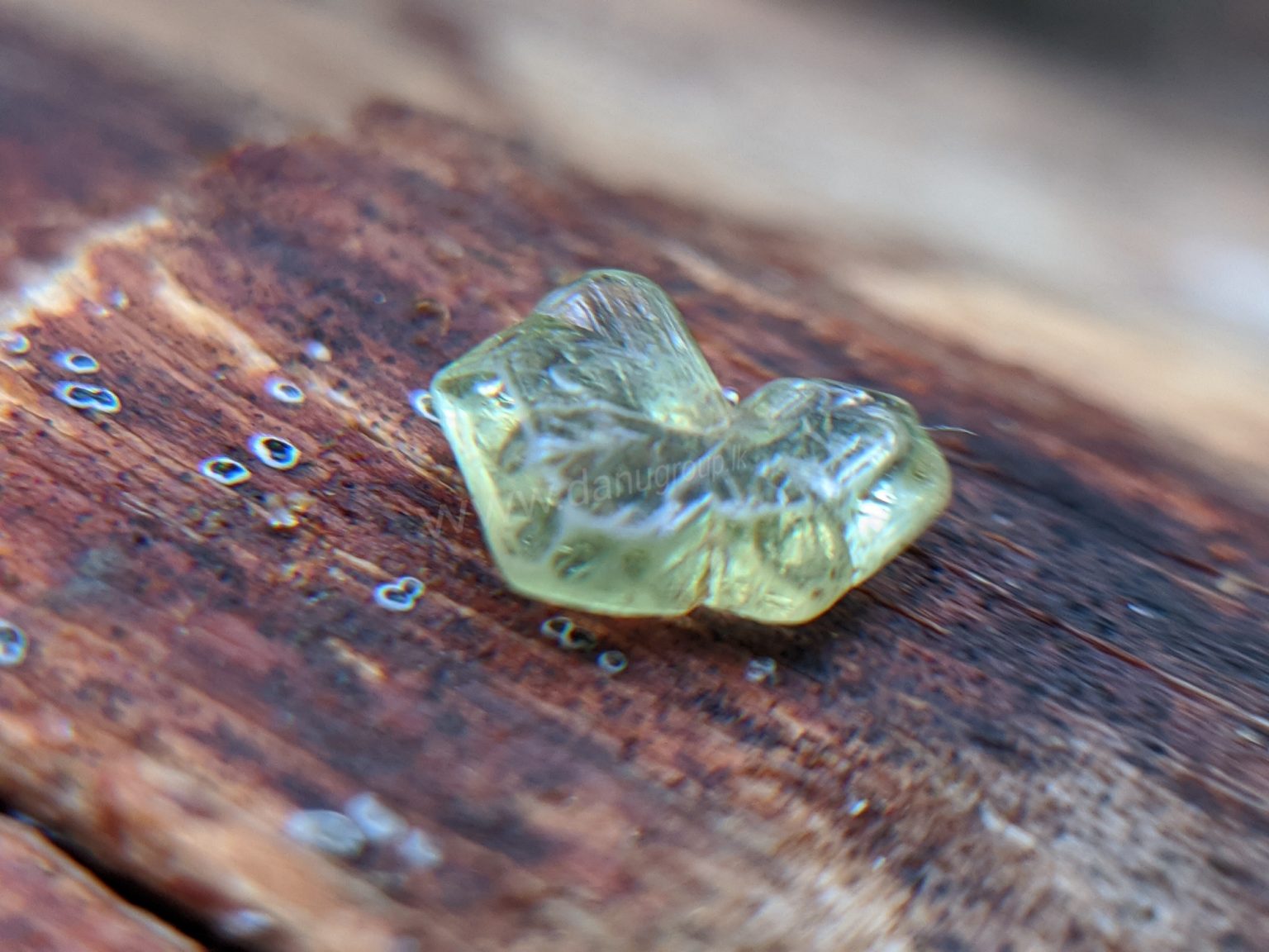 Very Rare Natural Chrysoberyl Sixling Butterfly Crystal from Danu Group rare collection