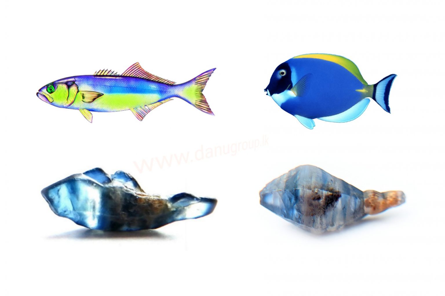 Ceylon Natural Blue Sapphire Fish Shape Crystal from Danu Group Minings in Primary deposit