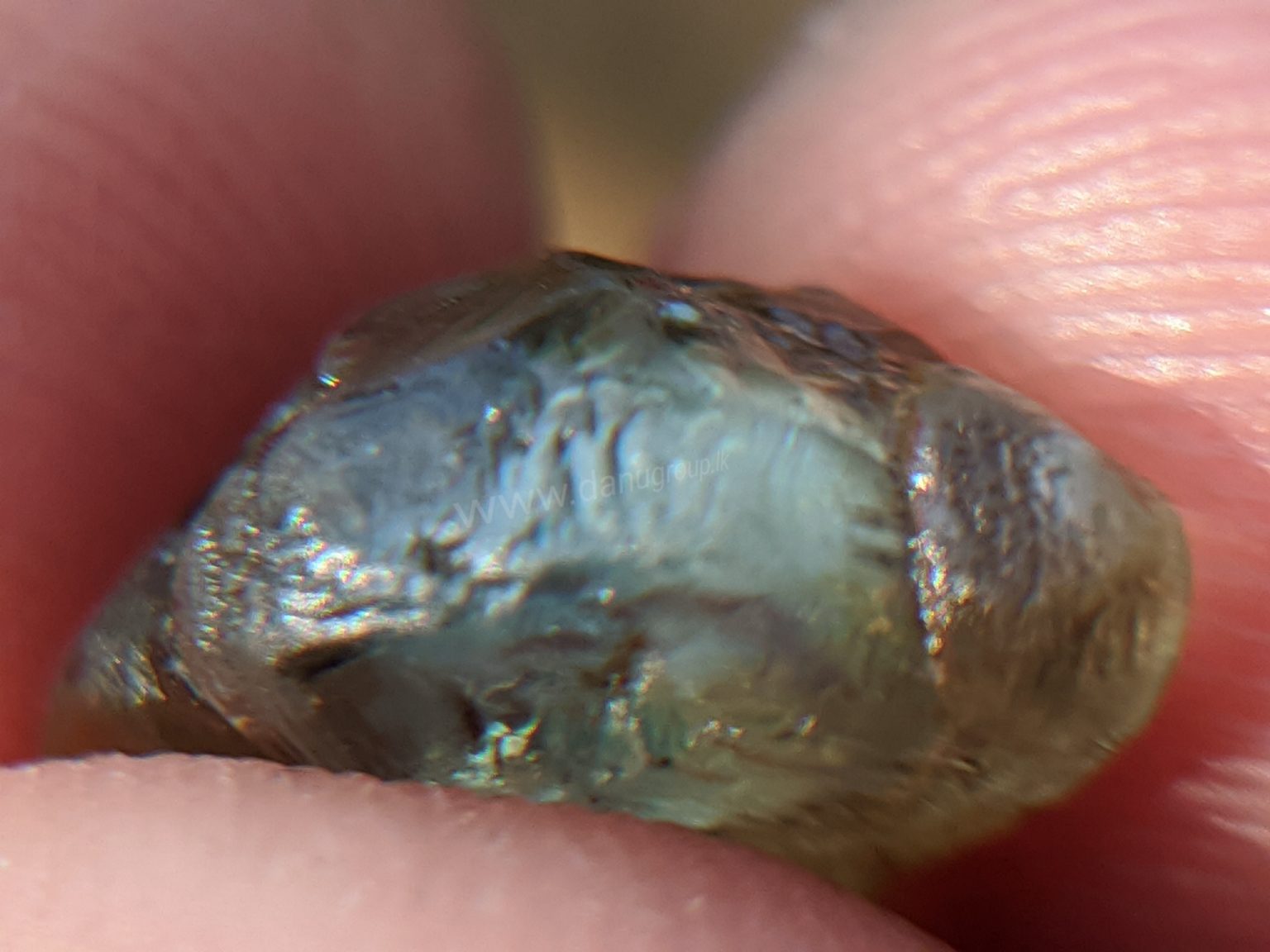 Ceylon Natural rare chrysoberyl Sixling half crystal with cats eye effect Danu Group rare collection
