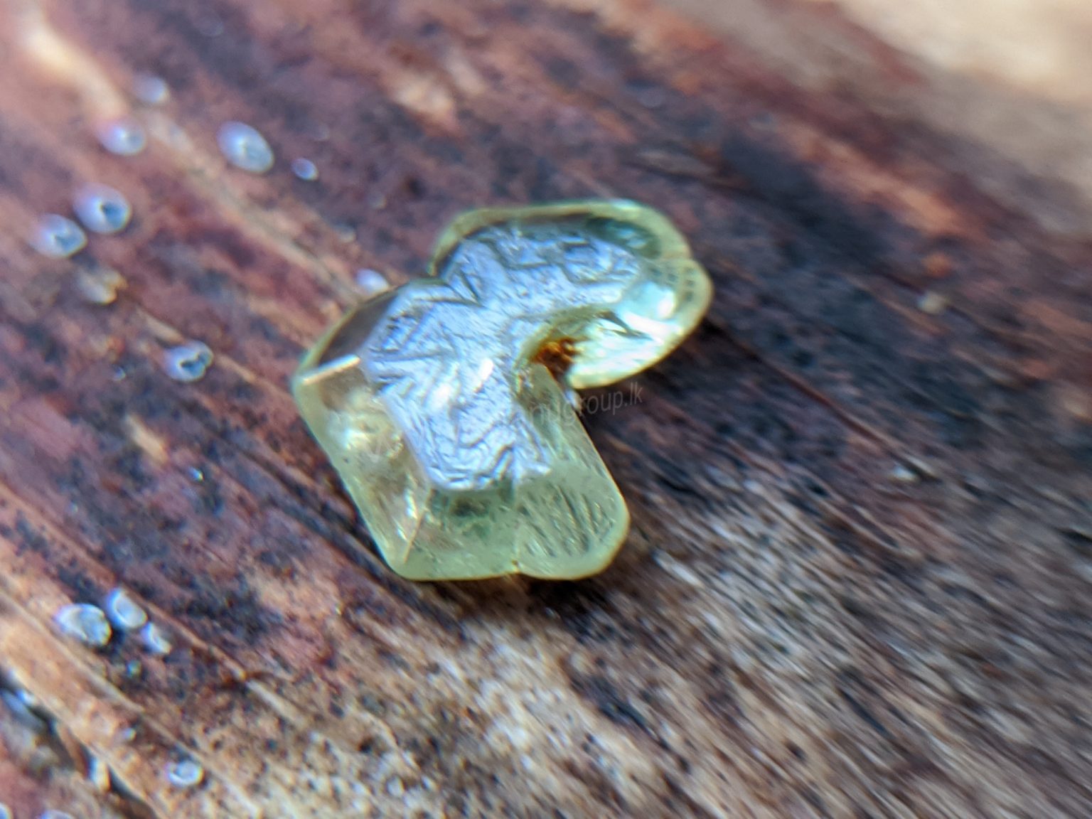 Very Rare Natural Chrysoberyl Sixling Butterfly Crystal from Danu Group rare collection