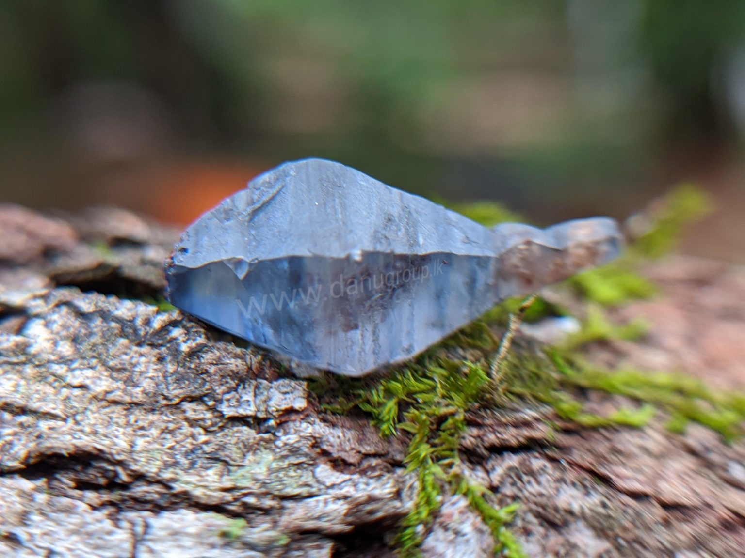 Ceylon Natural Blue Sapphire Fish Shape Crystal from Danu Group Minings in Primary deposit