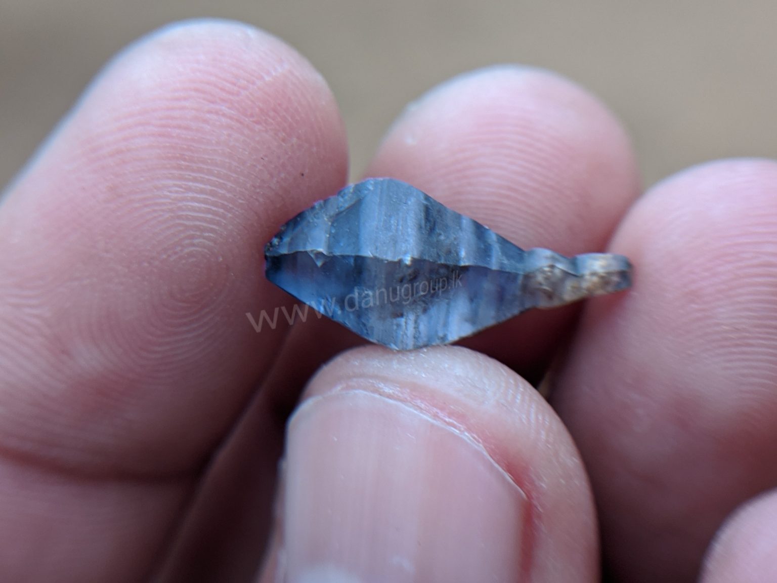Ceylon Natural Blue Sapphire Fish Shape Crystal from Danu Group Minings in Primary deposit