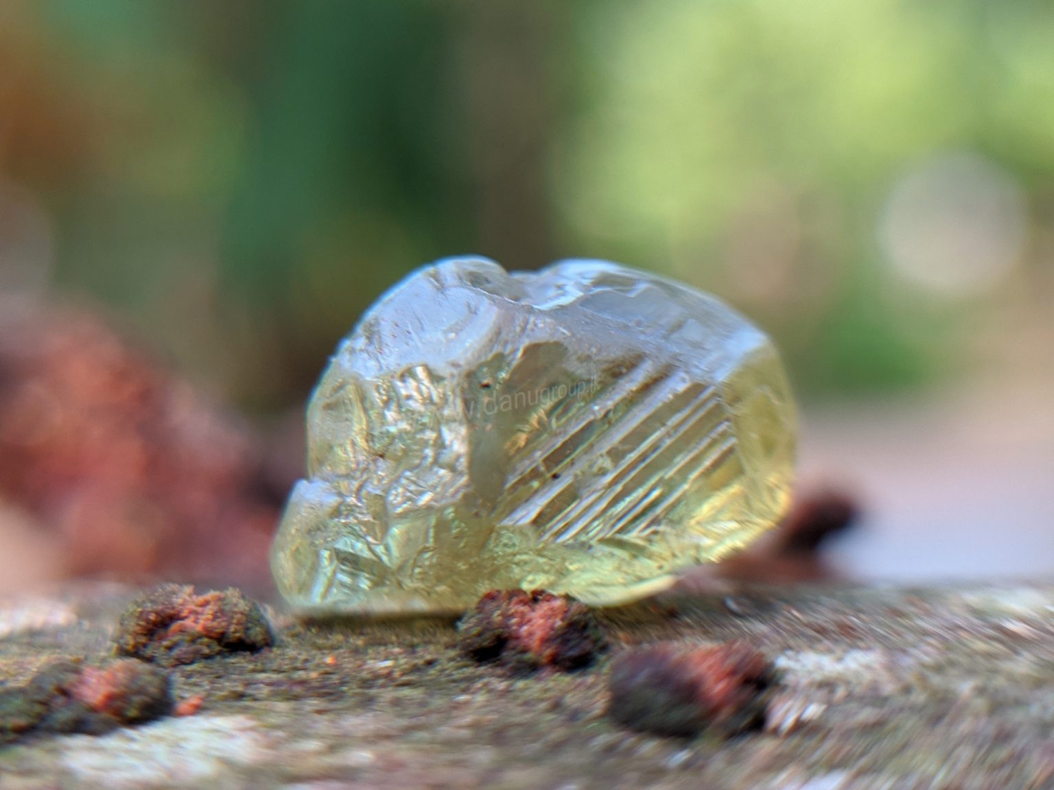 Ceylon Natural rare chrysoberyl Sixling half crystal with cats eye effect Danu Group rare collection
