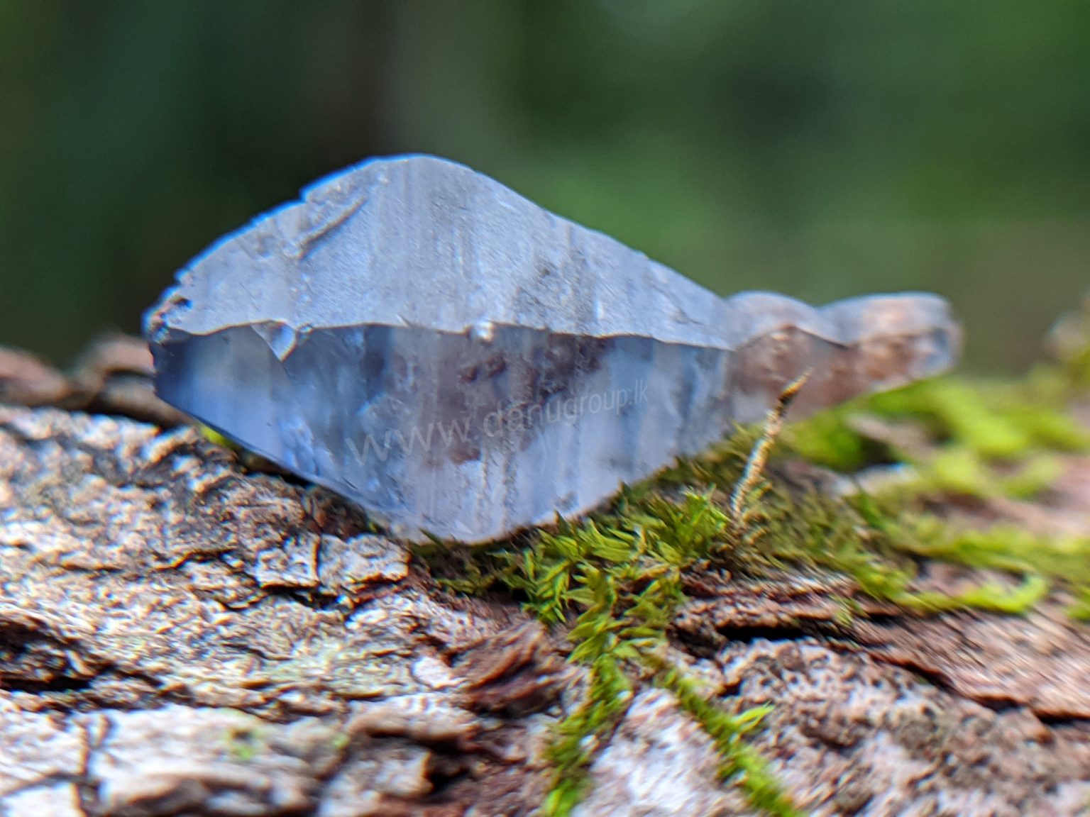 Ceylon Natural Blue Sapphire Fish Shape Crystal from Danu Group Minings in Primary deposit