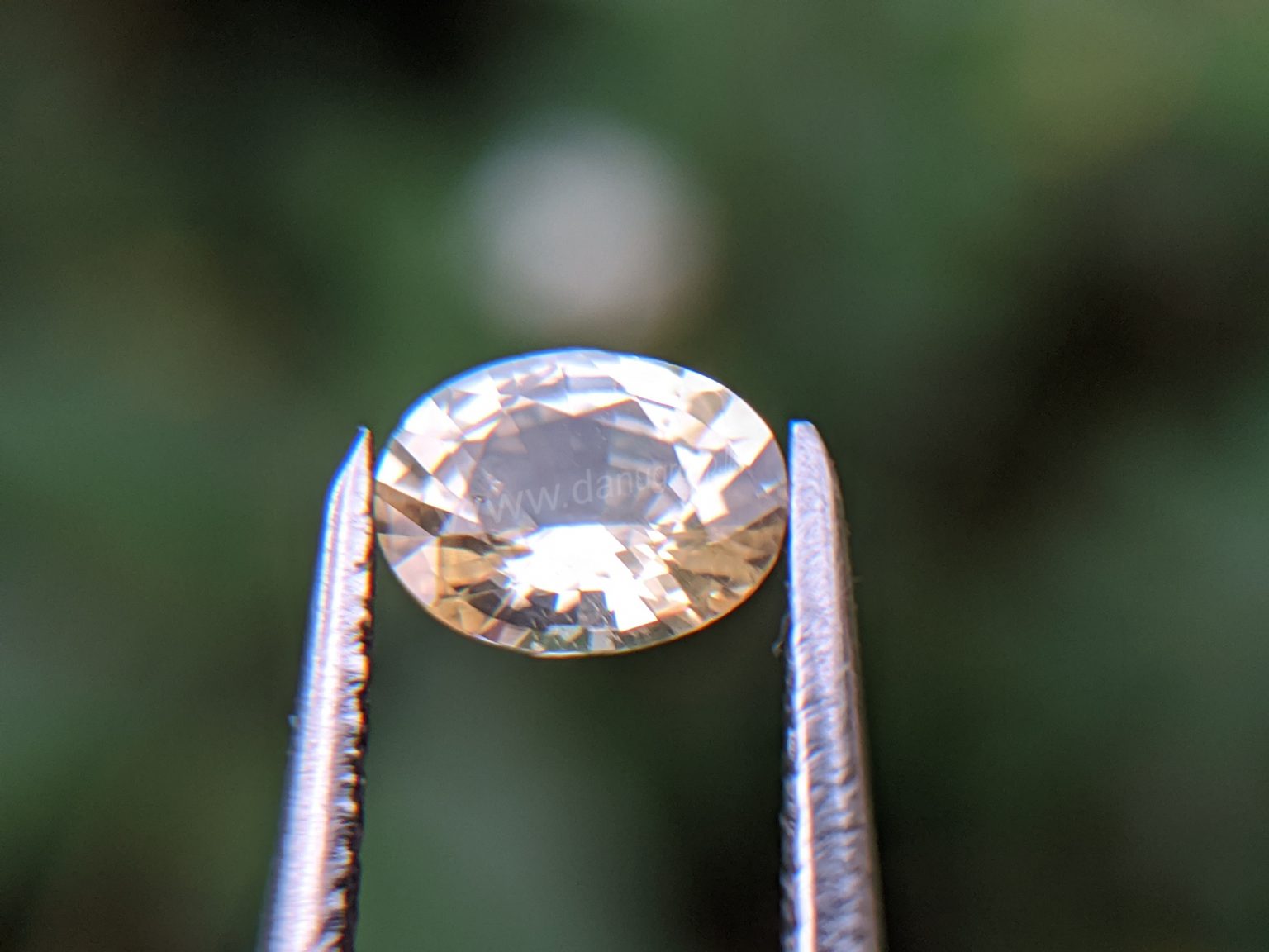 Ceylon Natural Yellow Sapphire Sri Lanka Danu Group Gemstones In collection
