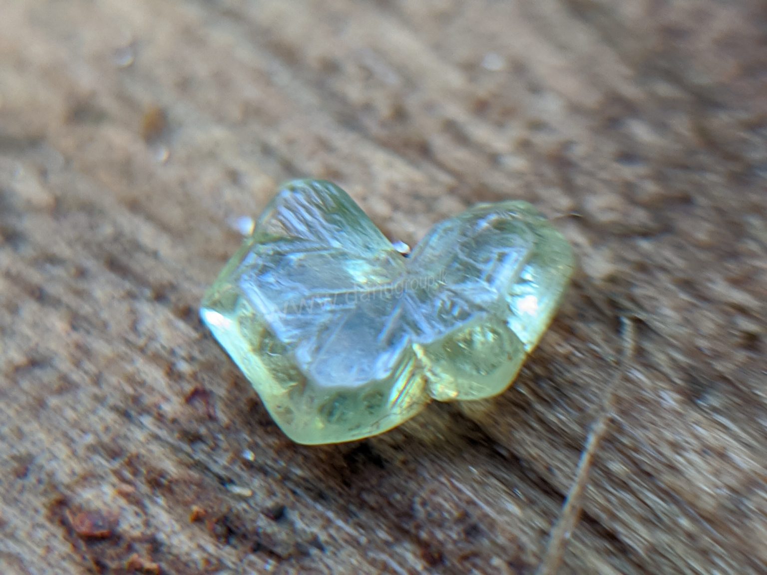 Very Rare Natural Chrysoberyl Sixling Butterfly Crystal from Danu Group rare collection