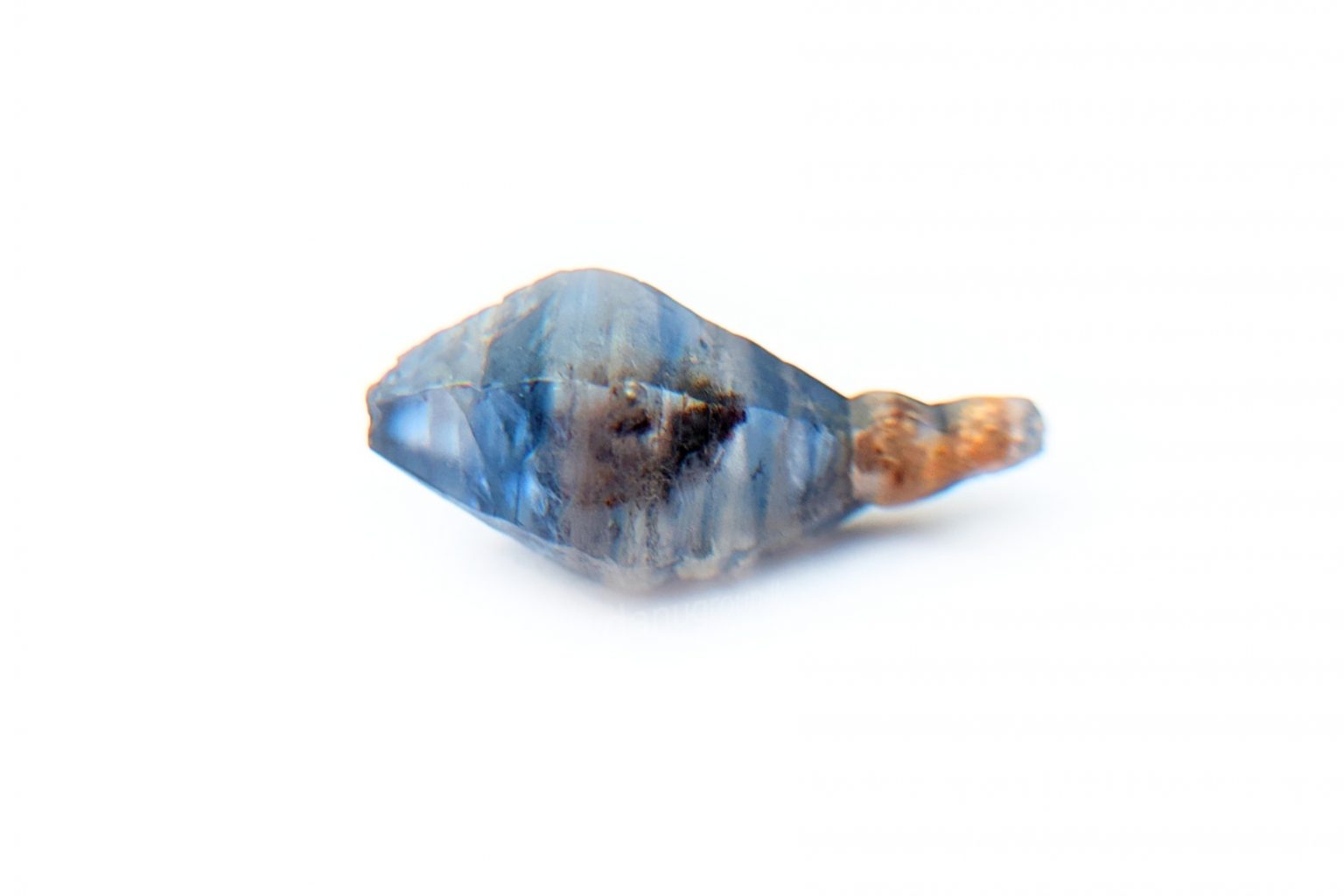 Ceylon Natural Blue Sapphire Fish Shape Crystal from Danu Group Minings in Primary deposit