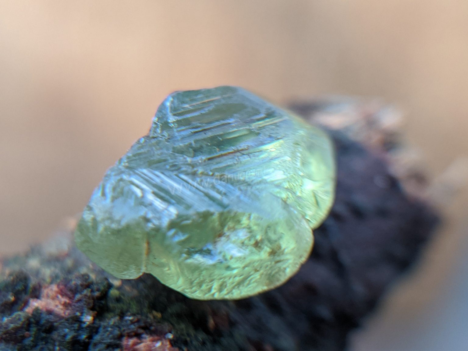 Ceylon Natural rare chrysoberyl Sixling half crystal with cats eye effect Danu Group rare collection