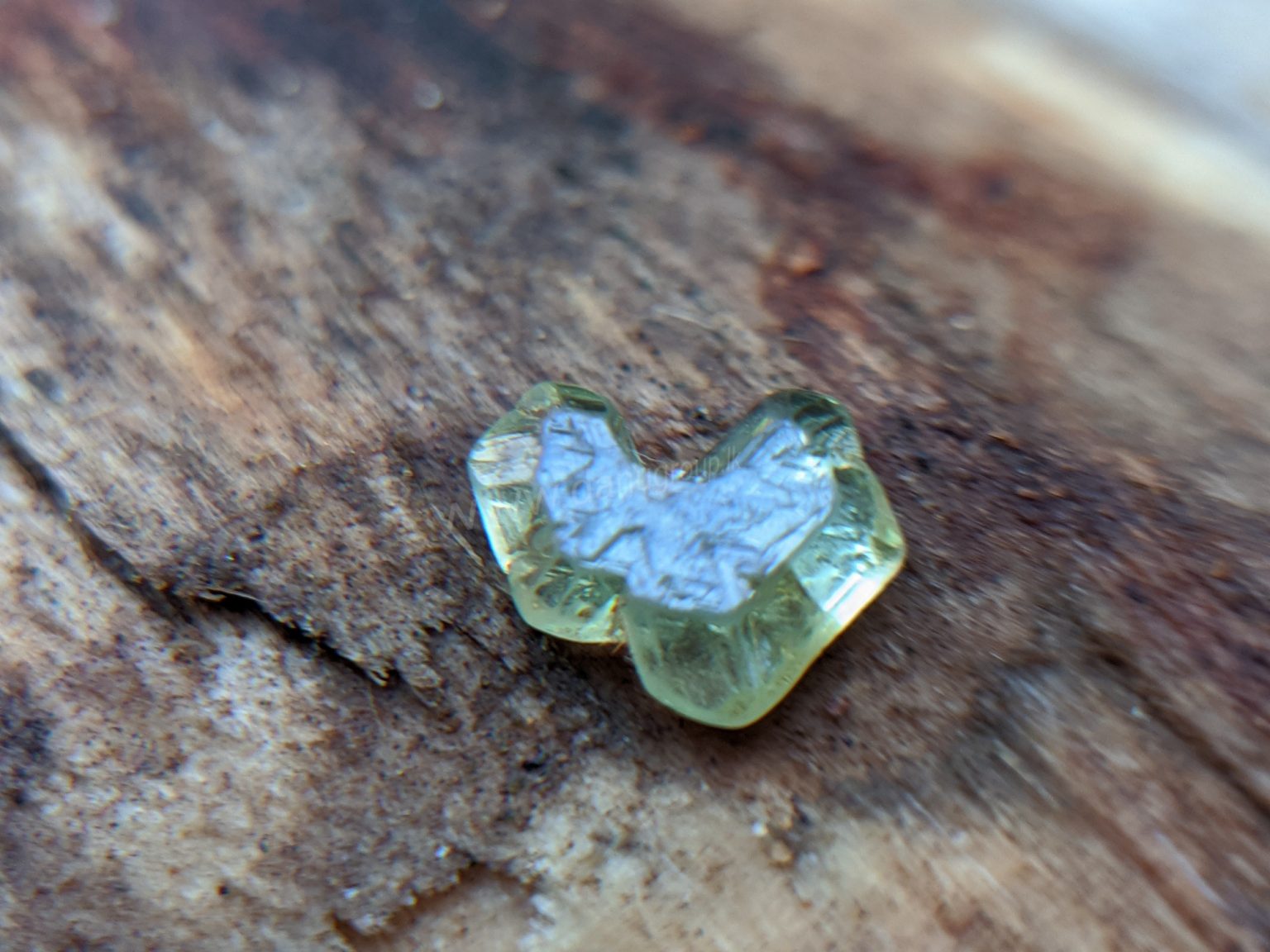 Very Rare Natural Chrysoberyl Sixling Butterfly Crystal from Danu Group rare collection