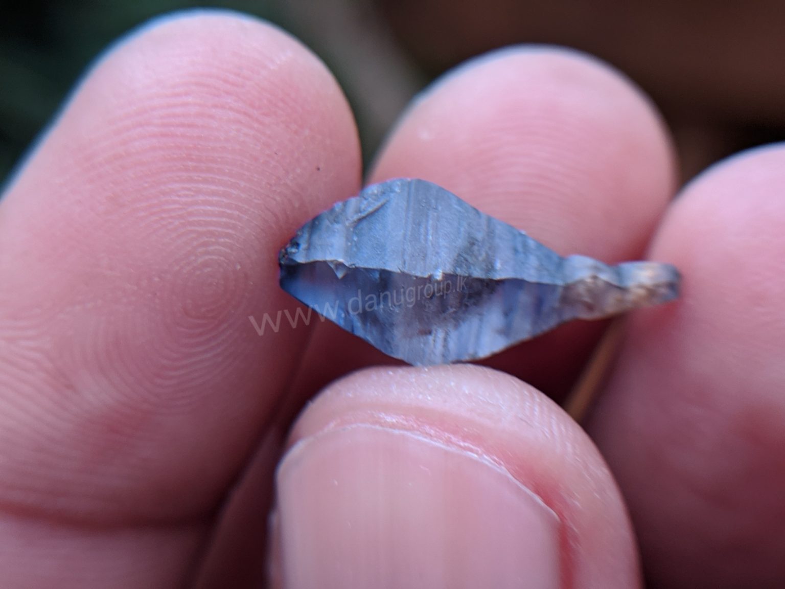 Ceylon Natural Blue Sapphire Fish Shape Crystal from Danu Group Minings in Primary deposit
