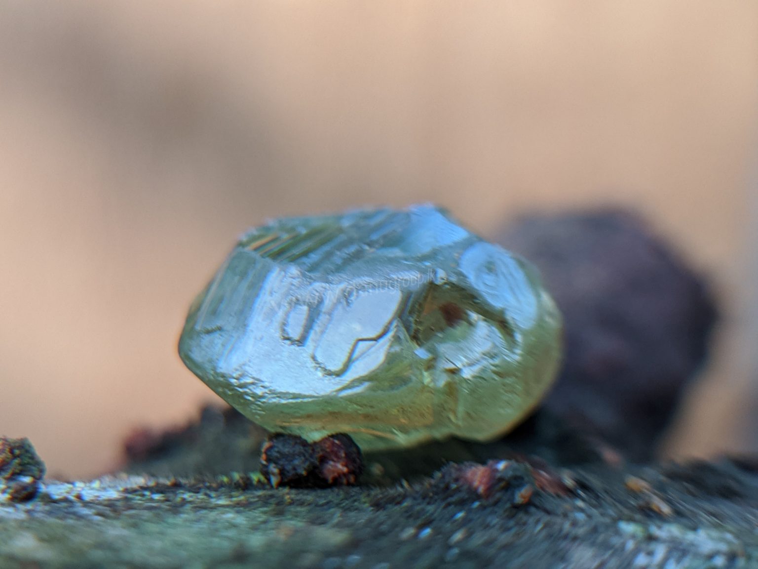 Ceylon Natural rare chrysoberyl Sixling half crystal with cats eye effect Danu Group rare collection
