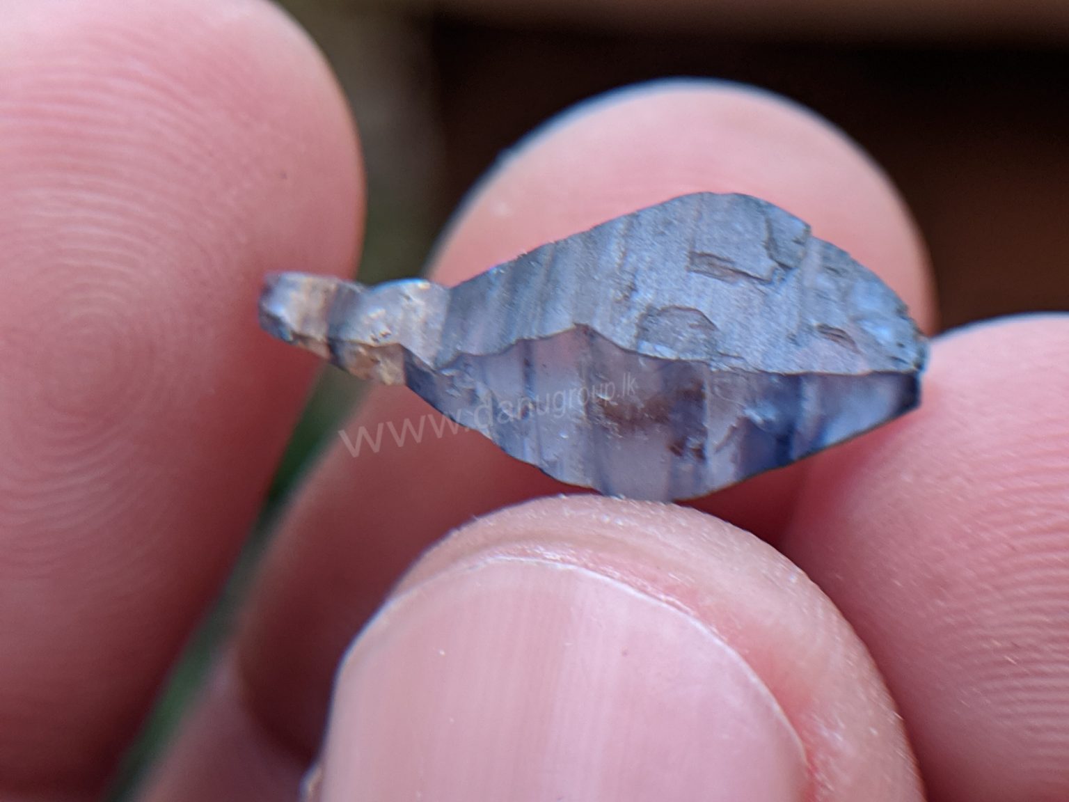 Ceylon Natural Blue Sapphire Fish Shape Crystal from Danu Group Minings in Primary deposit