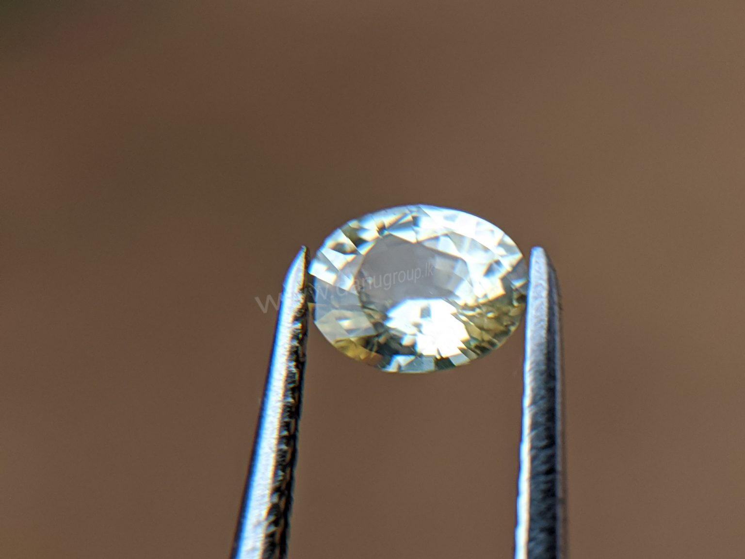 Ceylon Natural Yellow Sapphire Sri Lanka Danu Group Gemstones In collection