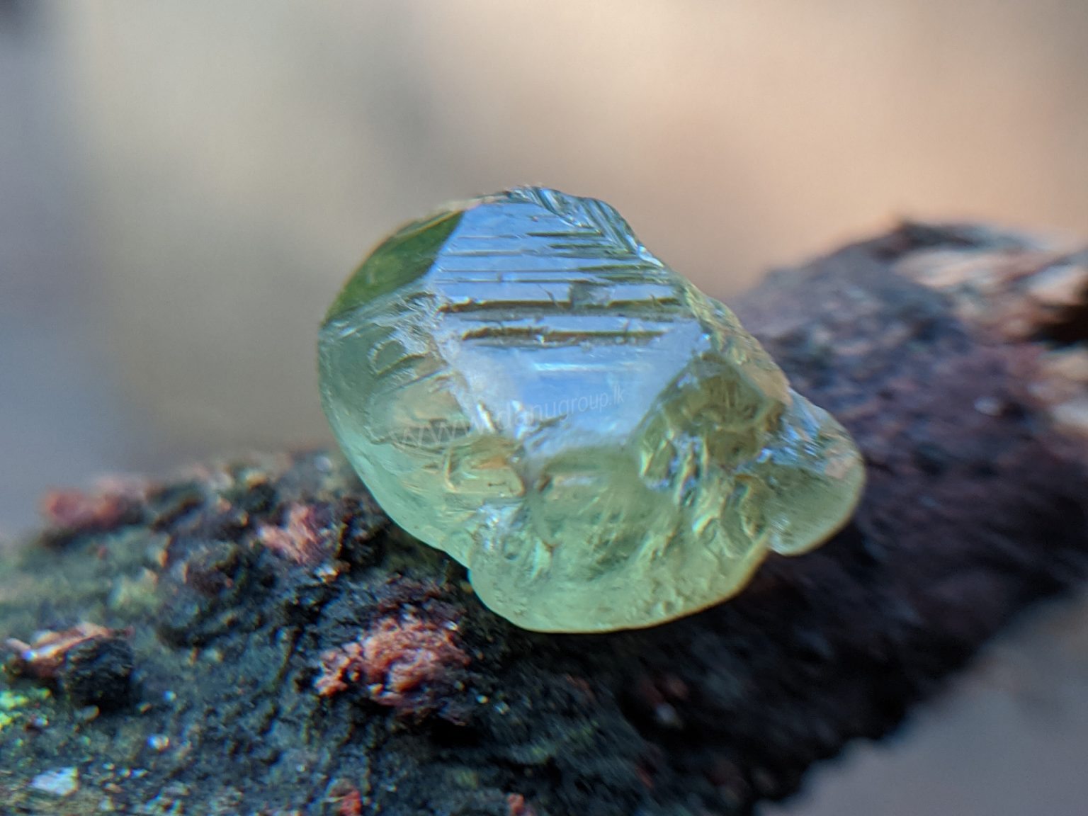 Ceylon Natural rare chrysoberyl Sixling half crystal with cats eye effect Danu Group rare collection