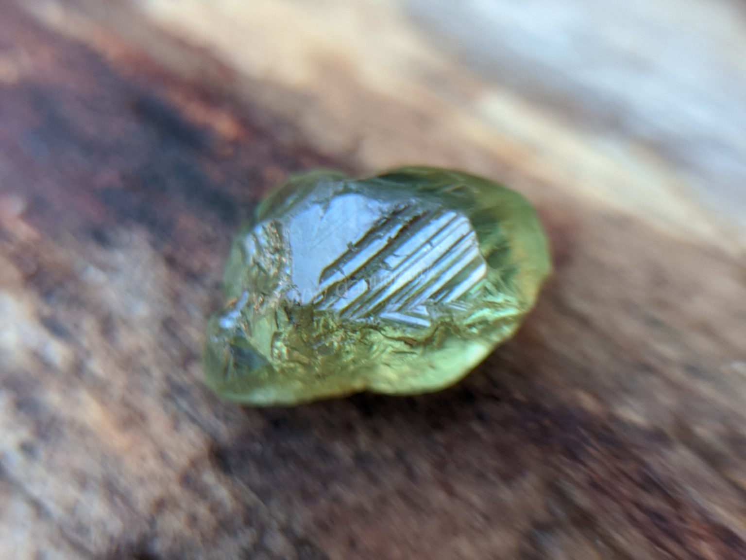 Ceylon Natural rare chrysoberyl Sixling half crystal with cats eye effect Danu Group rare collection