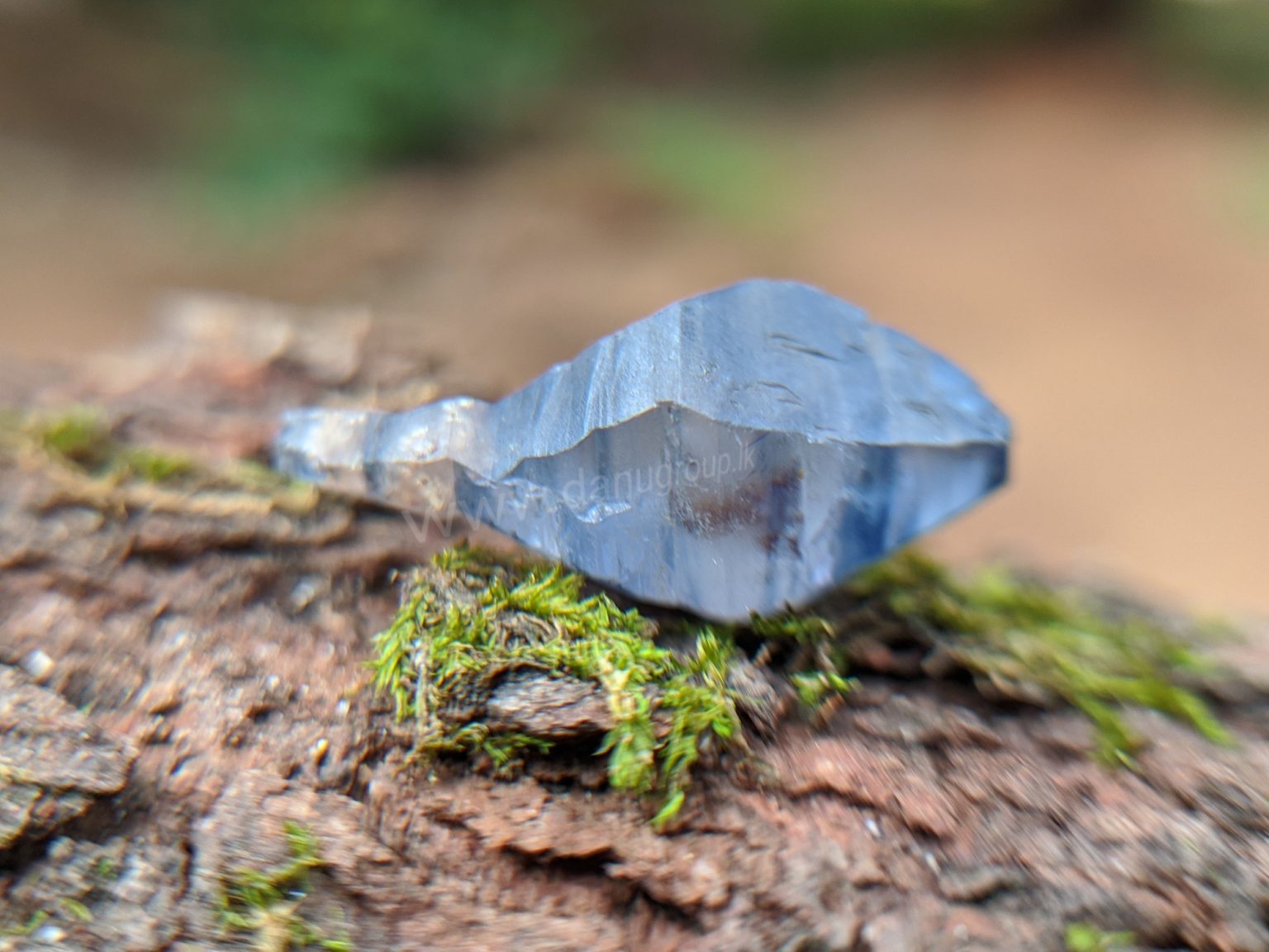 Ceylon Natural Blue Sapphire Fish Shape Crystal from Danu Group Minings in Primary deposit