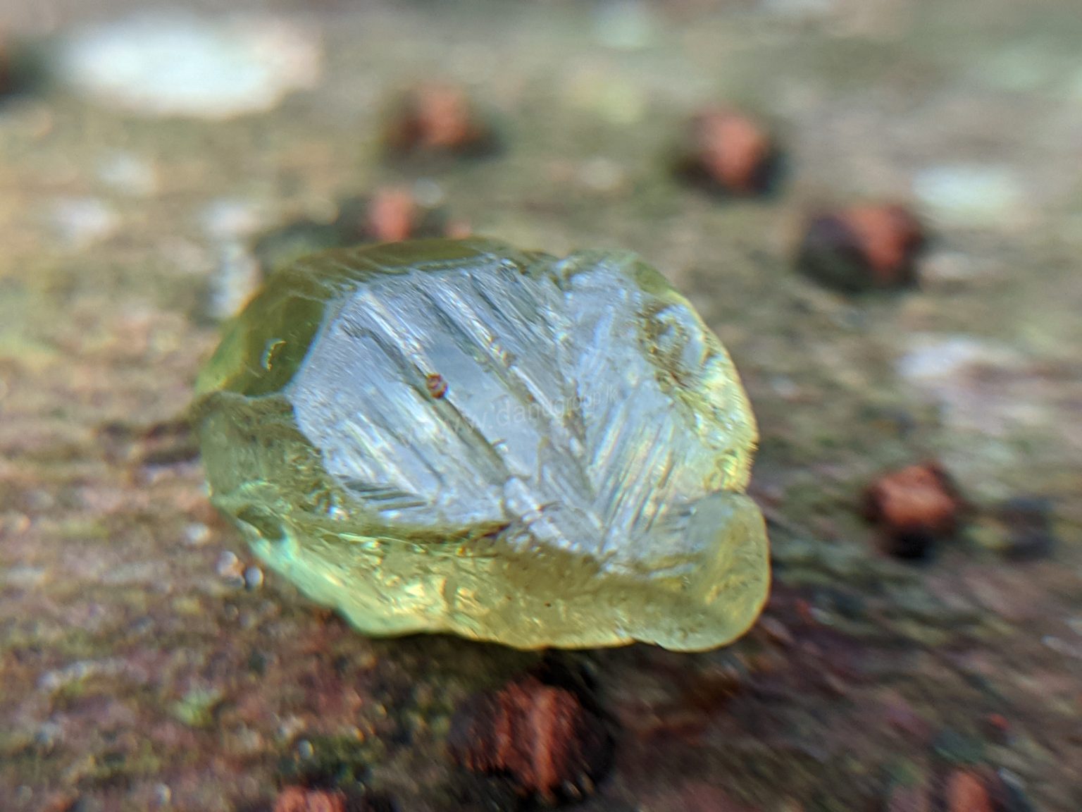 Ceylon Natural rare chrysoberyl Sixling half crystal with cats eye effect Danu Group rare collection