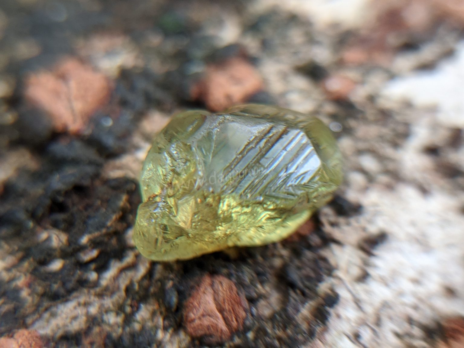 Ceylon Natural rare chrysoberyl Sixling half crystal with cats eye effect Danu Group rare collection