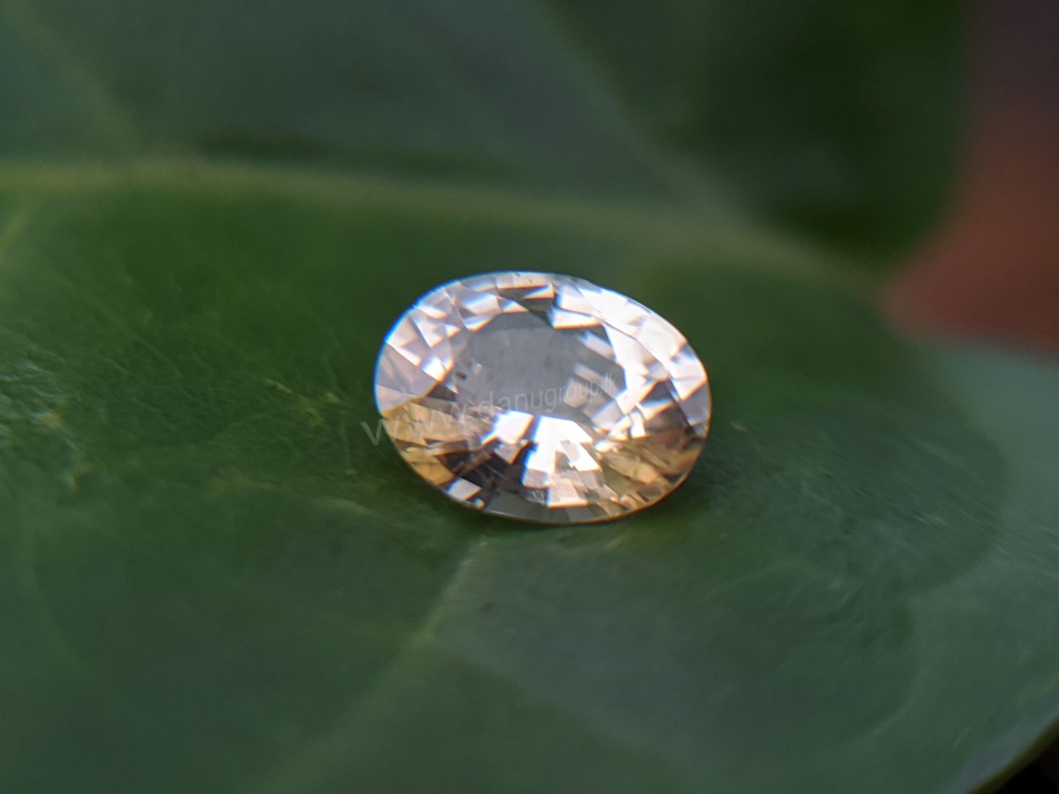 Ceylon Natural Yellow Sapphire Sri Lanka Danu Group Gemstones In collection