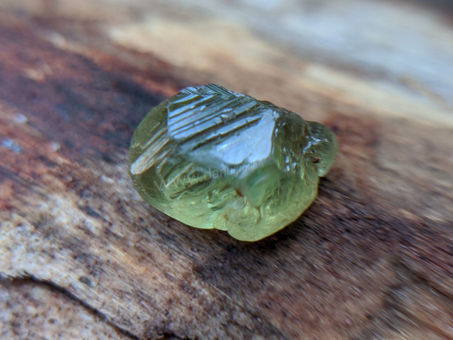 Ceylon Natural rare chrysoberyl Sixling half crystal with cats eye effect Danu Group rare collection