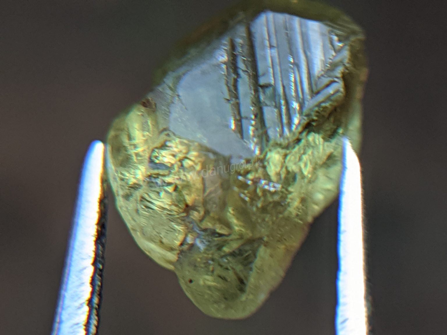 Ceylon Natural rare chrysoberyl Sixling half crystal with cats eye effect Danu Group rare collection