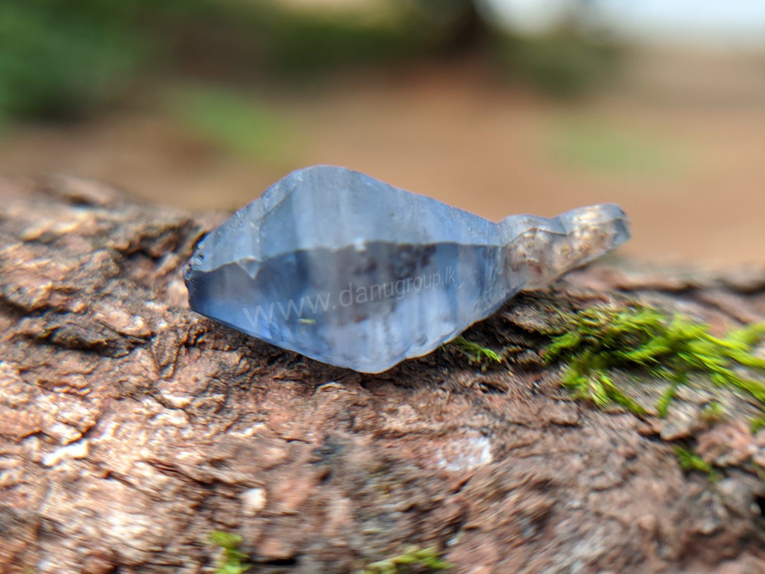 Ceylon Natural Blue Sapphire Fish Shape Crystal from Danu Group Minings in Primary deposit