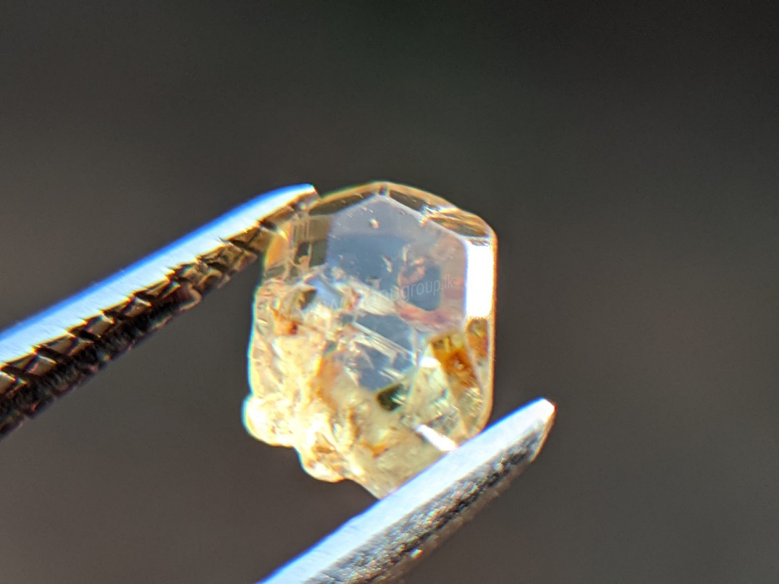 Very Rare Natural Chrysoberyl Sixling Butterfly Crystal from Danu Group rare collection