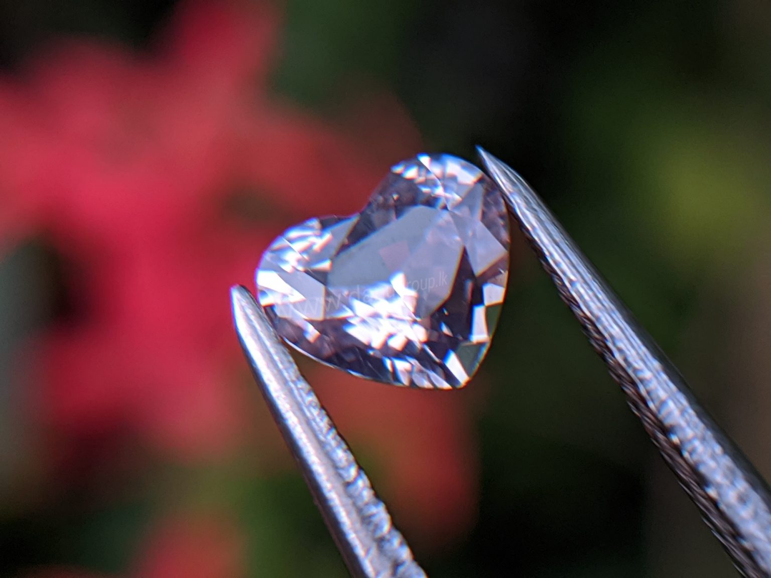 Natural Light Pink Sapphire Sri Lanka 🇱🇰