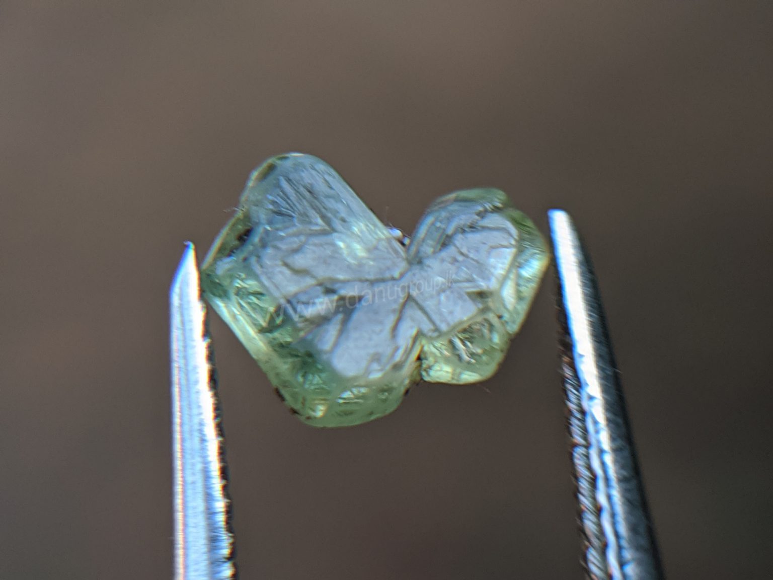 Very Rare Natural Chrysoberyl Sixling Butterfly Crystal from Danu Group rare collection