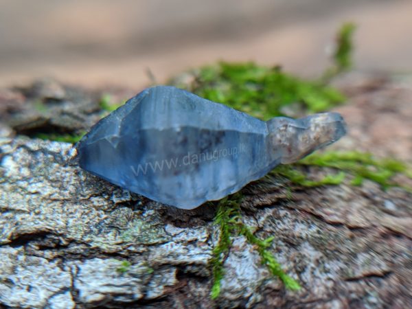 Ceylon Natural Blue Sapphire Fish Shape Crystal from Danu Group Minings in Primary deposit