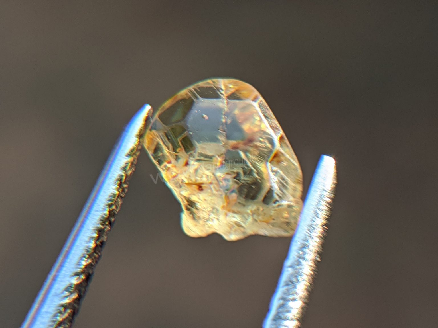 Very Rare Natural Chrysoberyl Sixling Butterfly Crystal from Danu Group rare collection