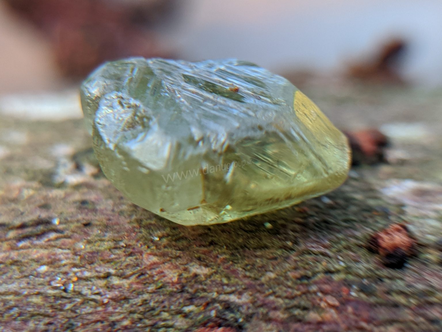 Ceylon Natural rare chrysoberyl Sixling half crystal with cats eye effect Danu Group rare collection