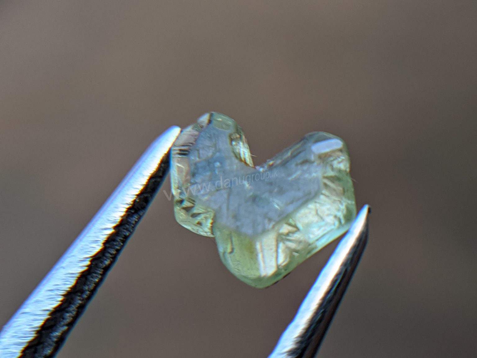 Very Rare Natural Chrysoberyl Sixling Butterfly Crystal from Danu Group rare collection