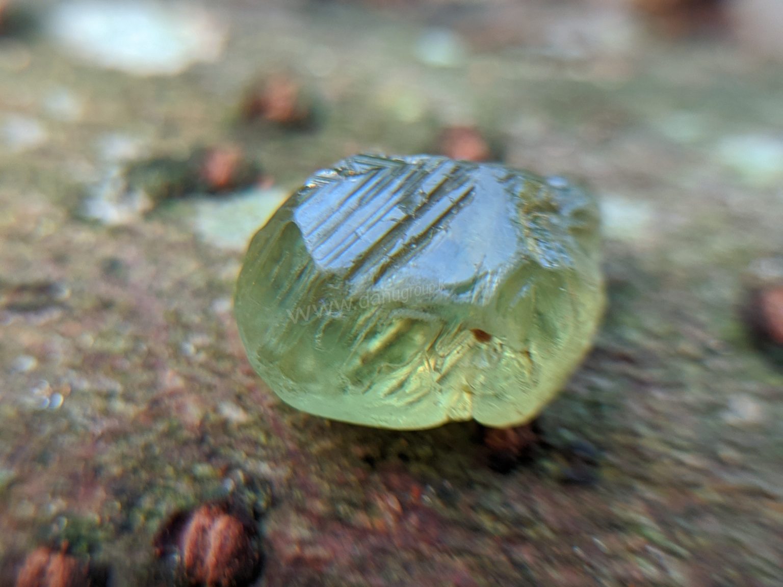Ceylon Natural rare chrysoberyl Sixling half crystal with cats eye effect Danu Group rare collection