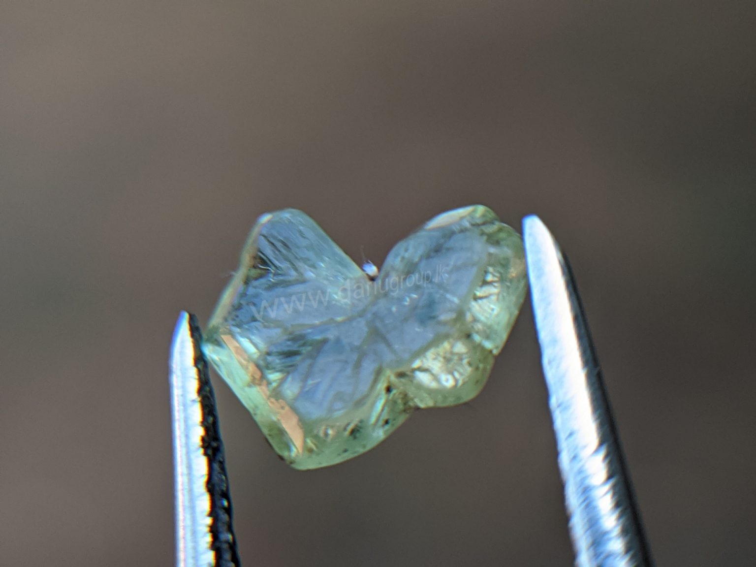 Very Rare Natural Chrysoberyl Sixling Butterfly Crystal from Danu Group rare collection