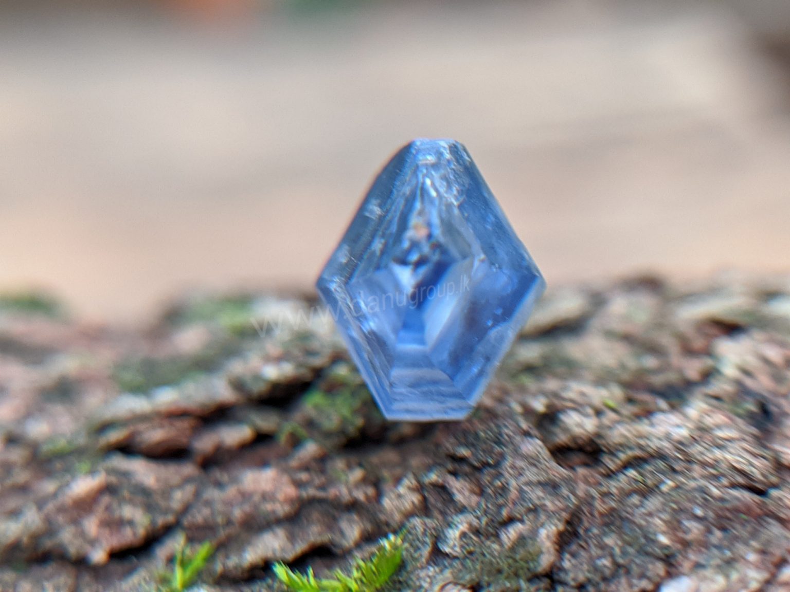 Ceylon Natural Blue Sapphire Fish Shape Crystal from Danu Group Minings in Primary deposit