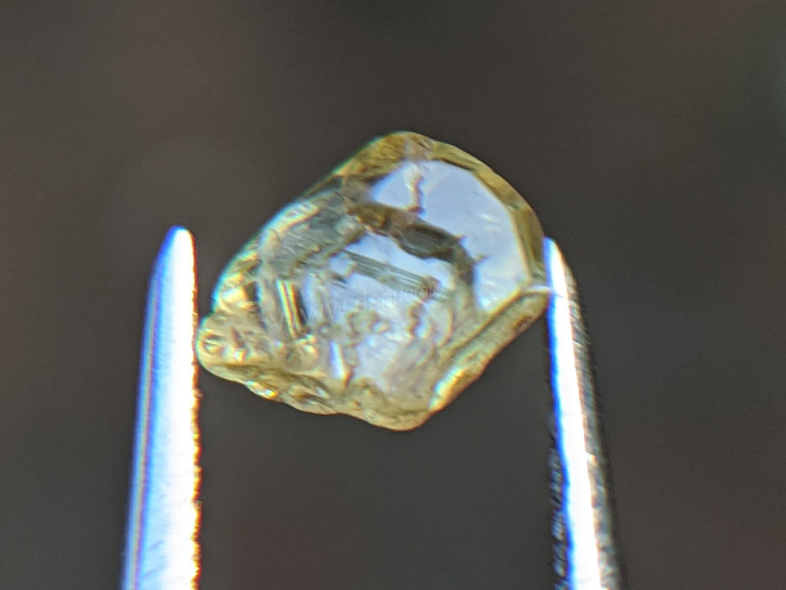 Very Rare Natural Chrysoberyl Sixling Butterfly Crystal from Danu Group rare collection