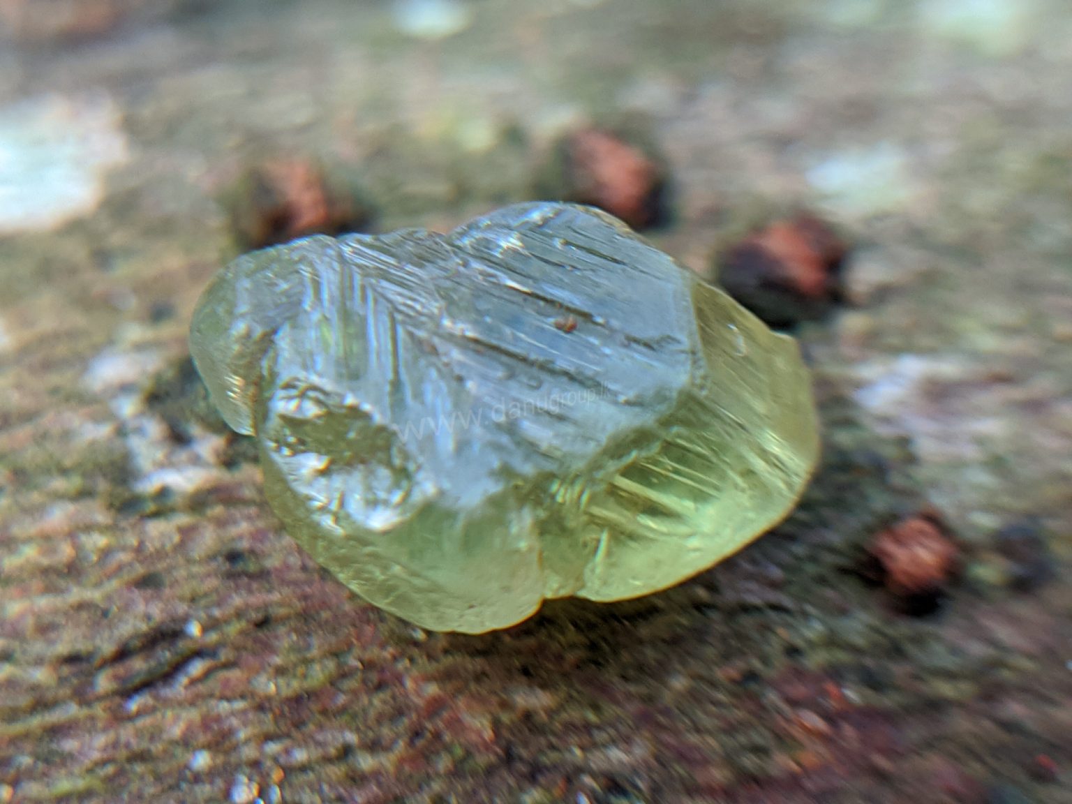 Ceylon Natural rare chrysoberyl Sixling half crystal with cats eye effect Danu Group rare collection