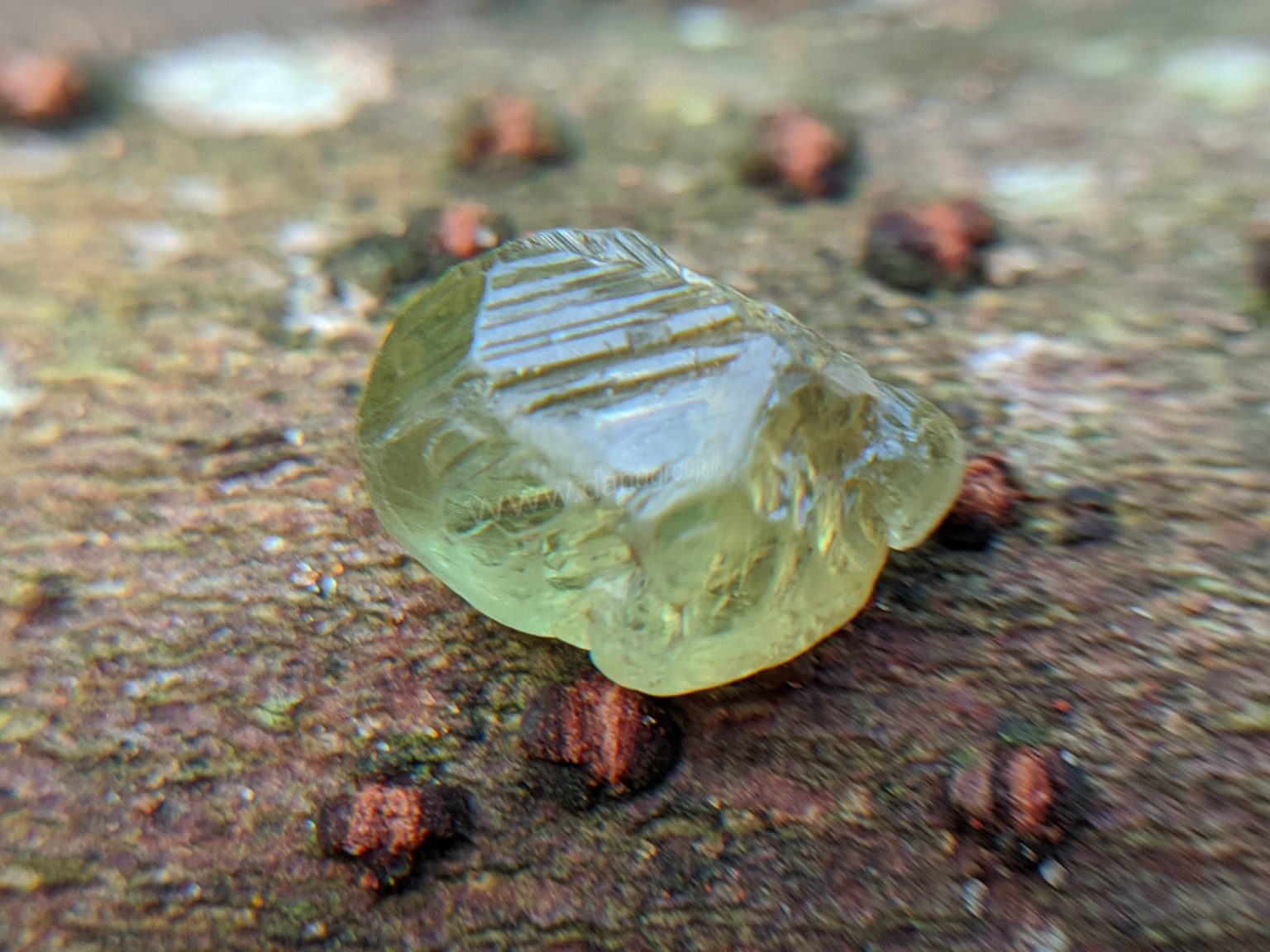 Ceylon Natural rare chrysoberyl Sixling half crystal with cats eye effect Danu Group rare collection