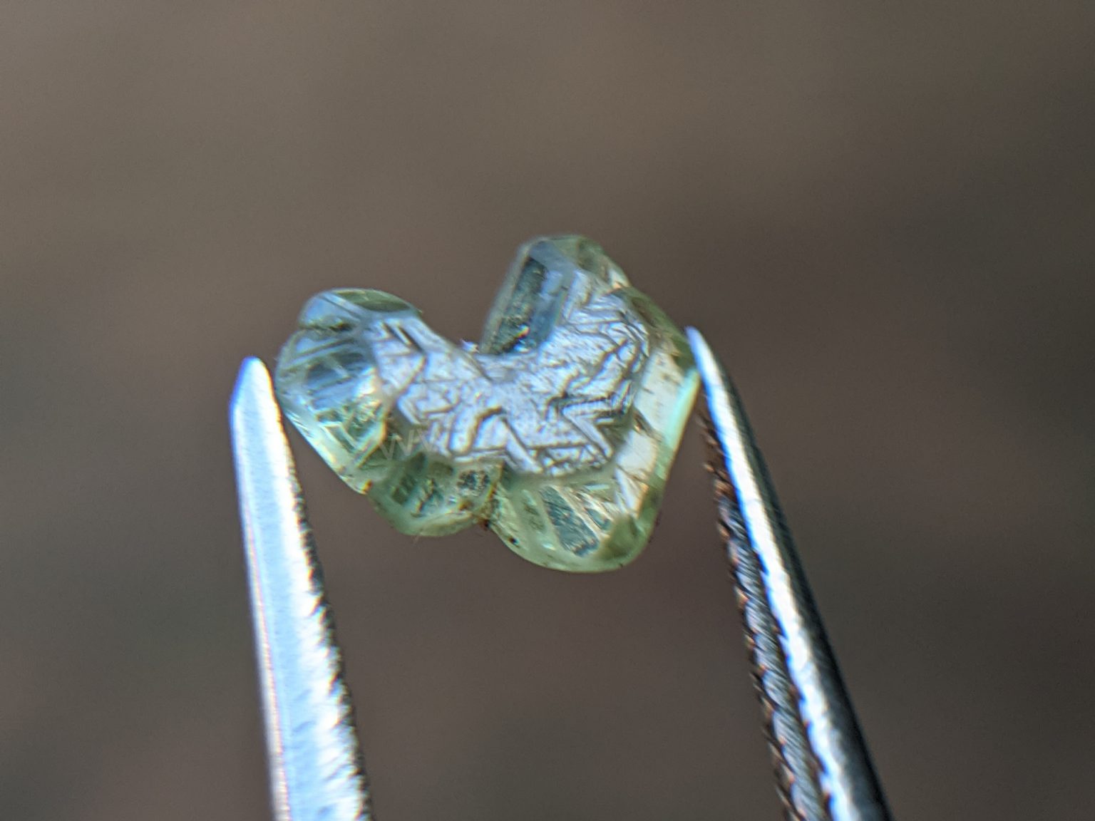 Very Rare Natural Chrysoberyl Sixling Butterfly Crystal from Danu Group rare collection
