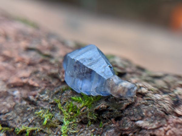 Ceylon Natural Blue Sapphire Fish Shape Crystal from Danu Group Minings in Primary deposit