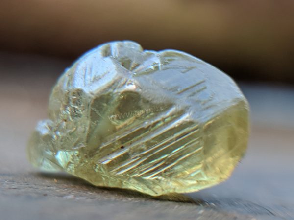 Ceylon Natural rare chrysoberyl Sixling half crystal with cats eye effect Danu Group rare collection